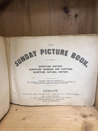 SUNDAY PICTURE BOOK, THE. Scripture History, Scripture Manners and Customs. Scripture Natural History
