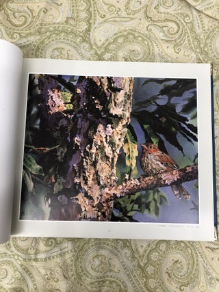 WATER-COLOR PAINTING OF ENDEMIC BIRDS OF TAIWAN