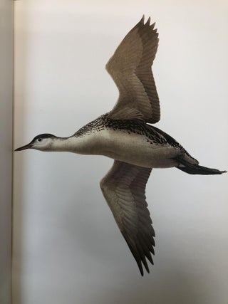 Birds of the West Coast; Volume One