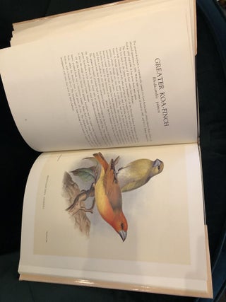 Frohawk's Birds of Hawaii