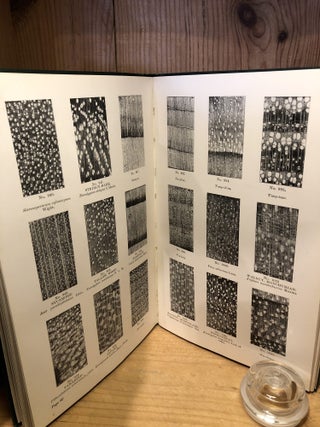 Studies of the Identification of Timbers, With a Note on the Seasoning of Wood