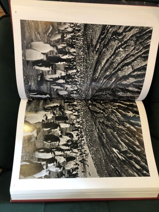 Sebastião Salgado, Genesis