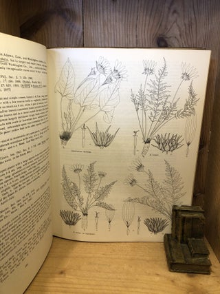 Vascular Plants of the Pacific Northwest, Part 5: Compositae