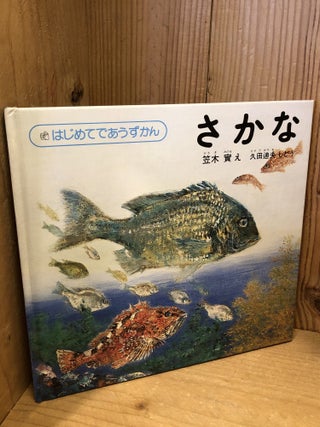 Item #509050 さかな (はじめてであうずかん 4), Fish